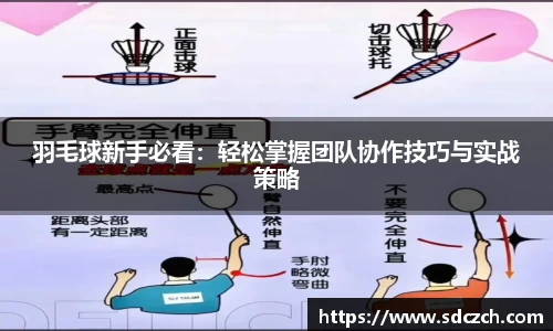 SG亚洲胜游