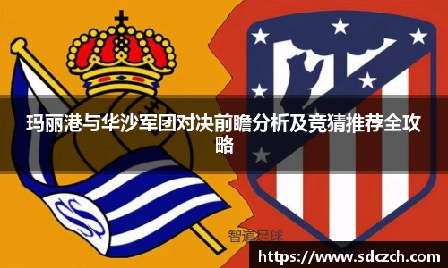 胜游亚洲网站