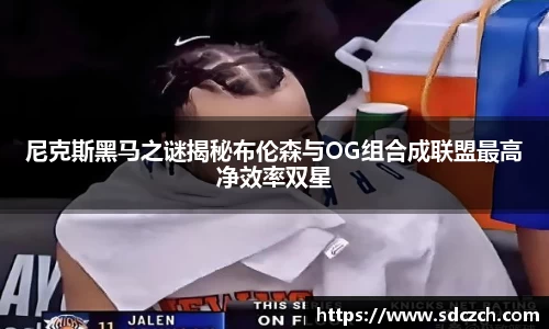 胜游亚洲网站