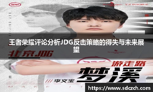 王者荣耀评论分析JDG反击策略的得失与未来展望